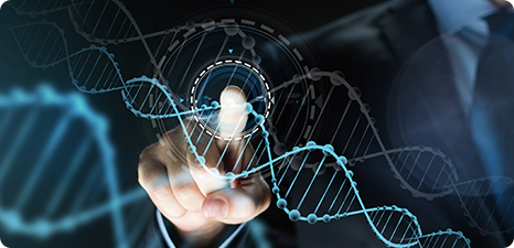 9888˹ά˹(ɷ)޹˾-ٷվ